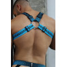 Breedwell Harnais Futura Bleu Neon